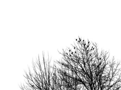 His Little Sparrow ~ CHRISTian poetry by deborah ann