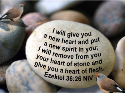 Heart of Stone used with permission forgodsglorybibleversepictures
