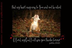Sing Your Praise ~ CHRISTian poetry by deborah ann