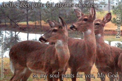 The Soul Pants ~ CHRISTian poetry by deborah ann