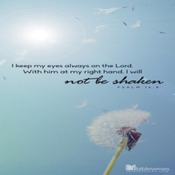 i-will-not-be-shaken CHRISTian poetry by deborah ann ~ used with permissionIBible Verses