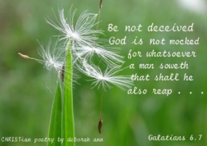 Sowing Good Seeds ~ CHRISTian poetry by deborah ann ~