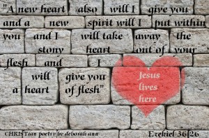 The Heart of Flesh ~ CHRISTian poetry by deborah ann