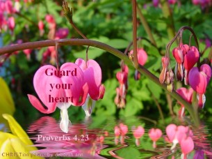 Guarding Our Hearts ~ CHRISTian poetry by deborah ann