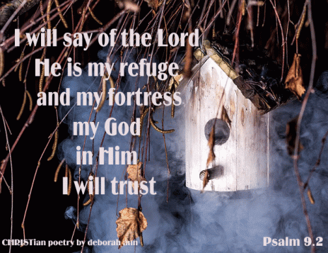 god-shelters-us-christian-poetry-by-deborah-ann
