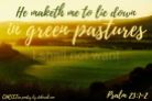 Life In The Pasture ~ CHRISTian poetry by deborah ann ~ free to use