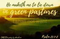 Life In The Pasture ~ CHRISTian poetry by deborah ann ~ free to use