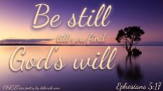 Our Wants, God's Will ~ CHRISTian poetry by deborah ann free to use