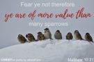 God of The Sparrow ~ CHRISTian poetry by deborah ann free to use