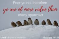 God of The Sparrow ~ CHRISTian poetry by deborah ann free to use