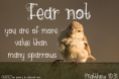 Flighty Sparrows ~ CHRISTian poetry by deborah ann belka ~ free to use