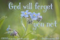 Forget You Naught ~ CHRISTian poetry by deborah ann free to use