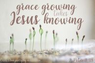 Grace Training ~ CHRISTian poetry by deborah ann free to use